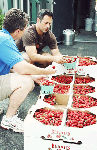 Beautiful Story of Strawberry Beer (9 gifs)