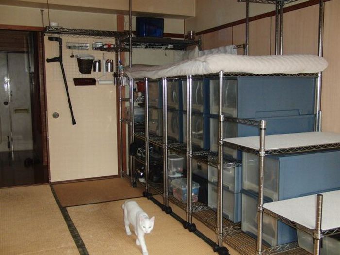 Japanese Rooms (59 pics)