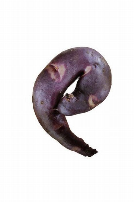 Different Types of Potato (18 pics)