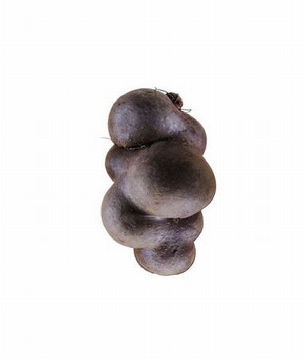 Different Types of Potato (18 pics)