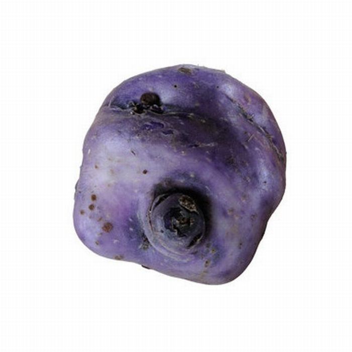 Different Types of Potato (18 pics)