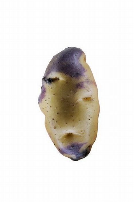 Different Types of Potato (18 pics)