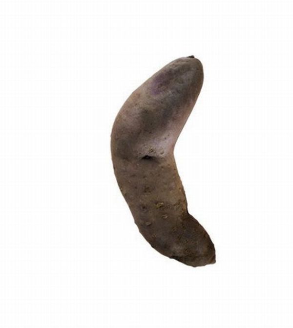 Different Types of Potato (18 pics)