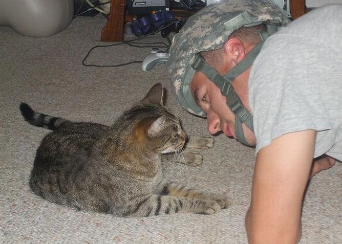 Soldiers and Pets (48 pics)