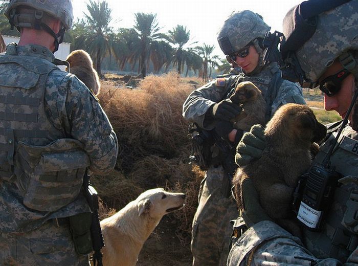 Soldiers and Pets (48 pics)