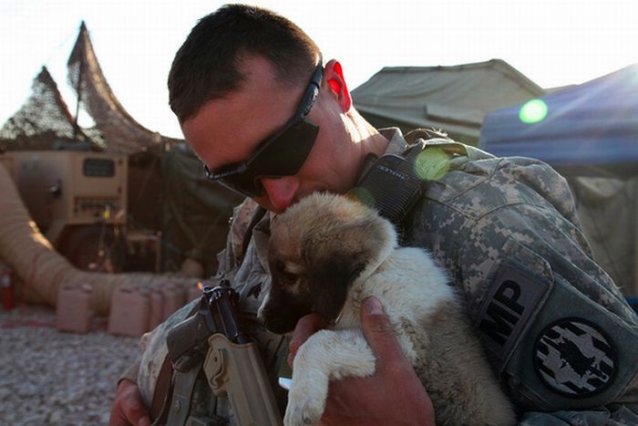 Soldiers and Pets (48 pics)