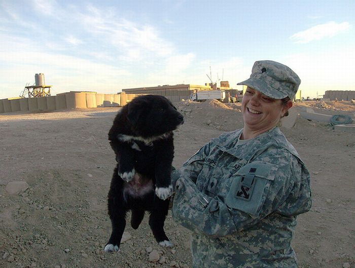 Soldiers and Pets (48 pics)