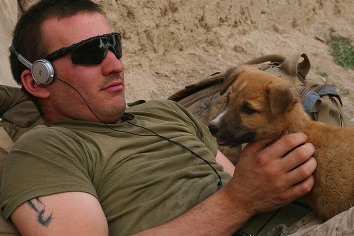 Soldiers and Pets (48 pics)