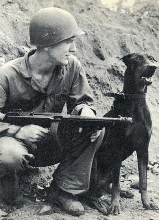 Soldiers and Pets (48 pics)