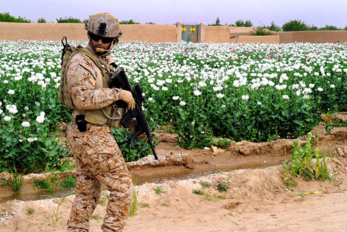 Military Photos (60 pics)