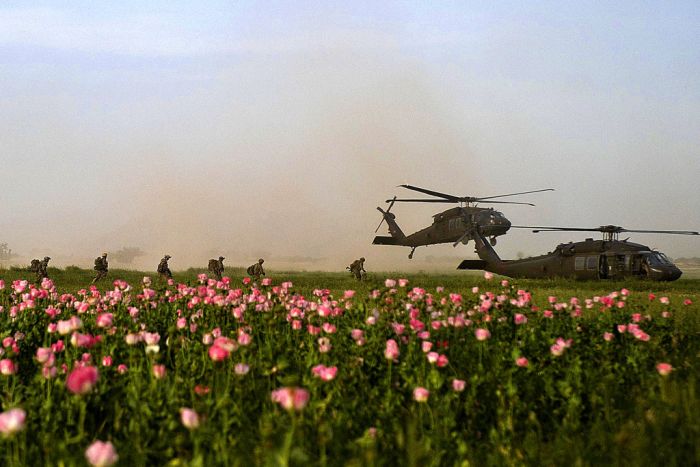 Military Photos (60 pics)