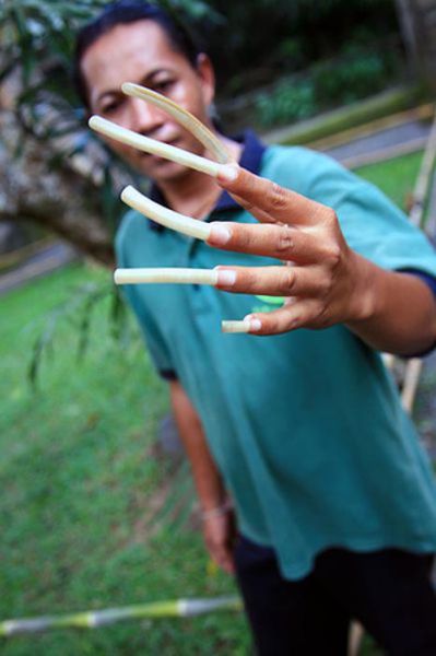 fingernails nails gross very disturbingly amazing longest acidcow