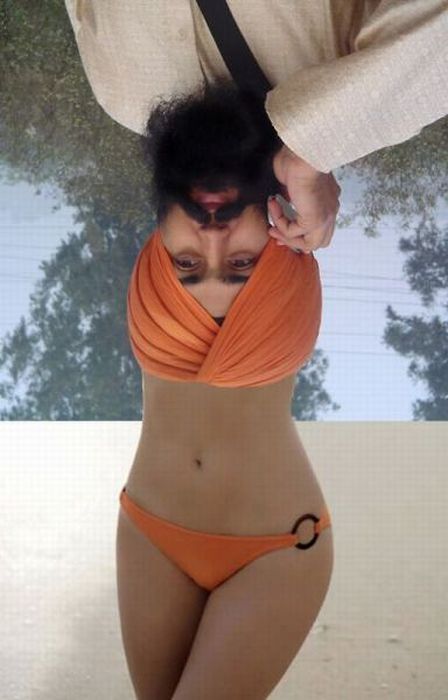 Acid Picdump (95 pics)