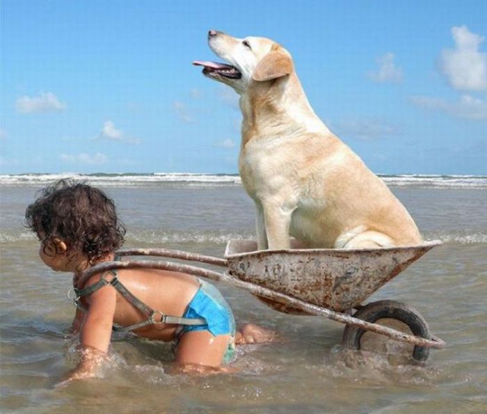 Acid Picdump (95 pics)