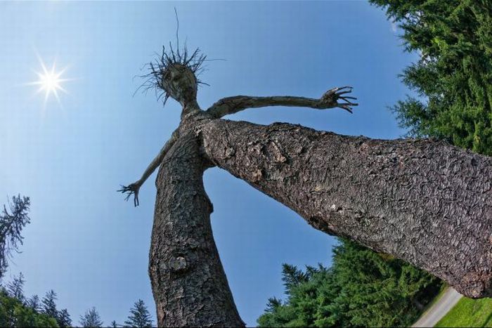 Acid Picdump (95 pics)