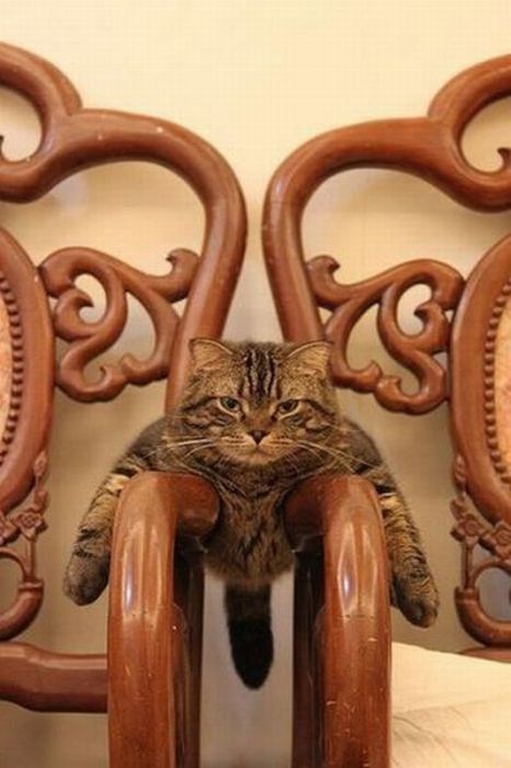 Acid Picdump (95 pics)