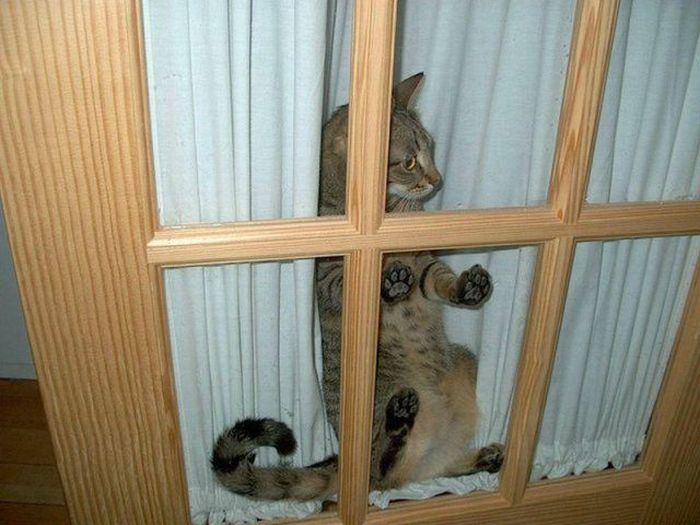 Acid Picdump (95 pics)