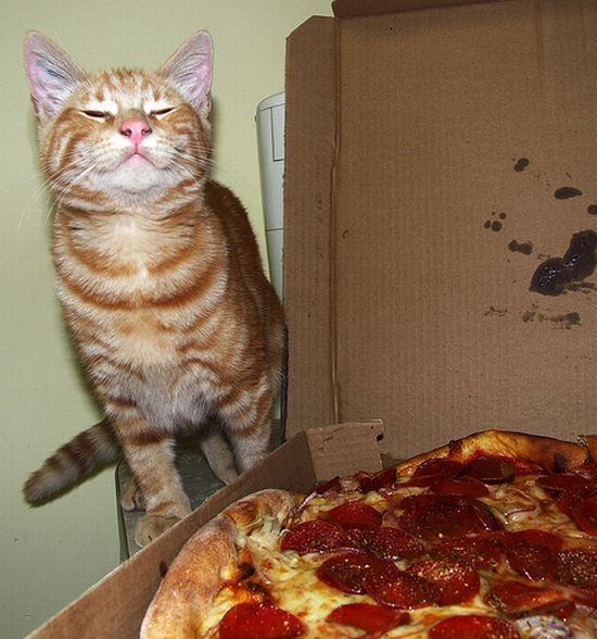 Acid Picdump (95 pics)