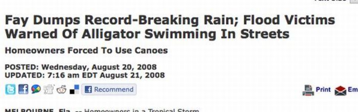 Headlines from Florida (45 pics)
