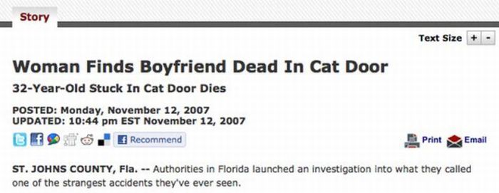 Headlines from Florida (45 pics)