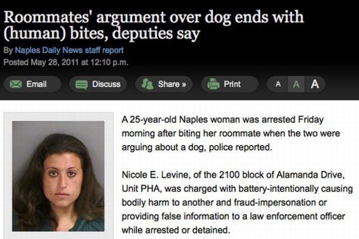 Headlines from Florida (45 pics)