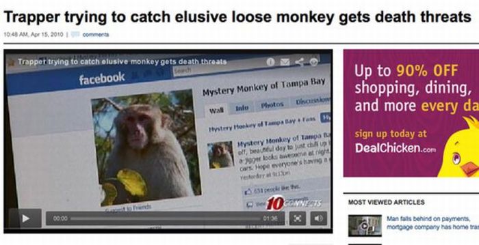 Headlines from Florida (45 pics)