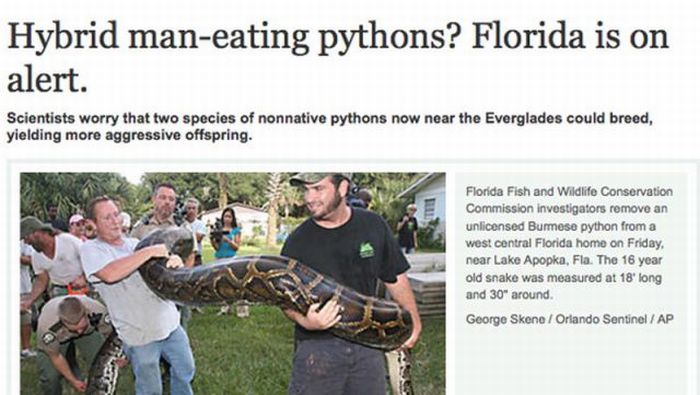 Headlines from Florida (45 pics)