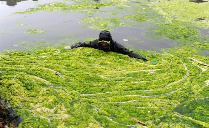 Acid Picdump (93 pics) Acid Picdump (93 pics)