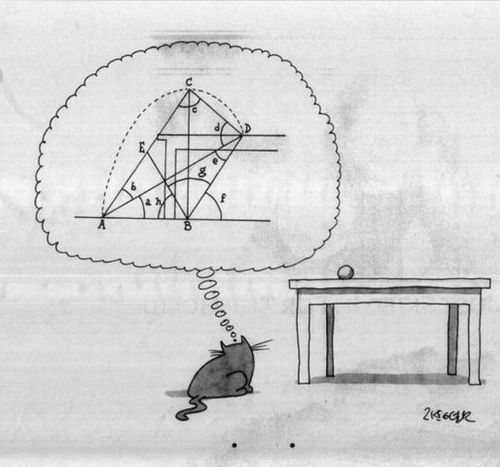Acid Picdump (93 pics)