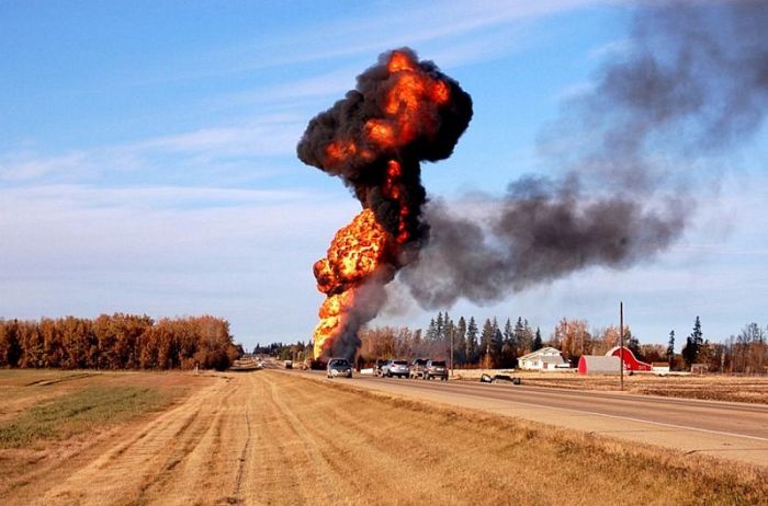 Acid Picdump (93 pics)