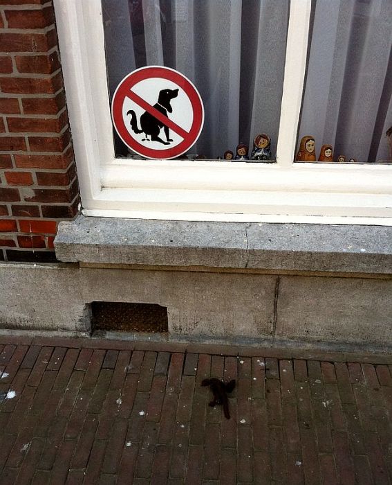 Acid Picdump (93 pics)