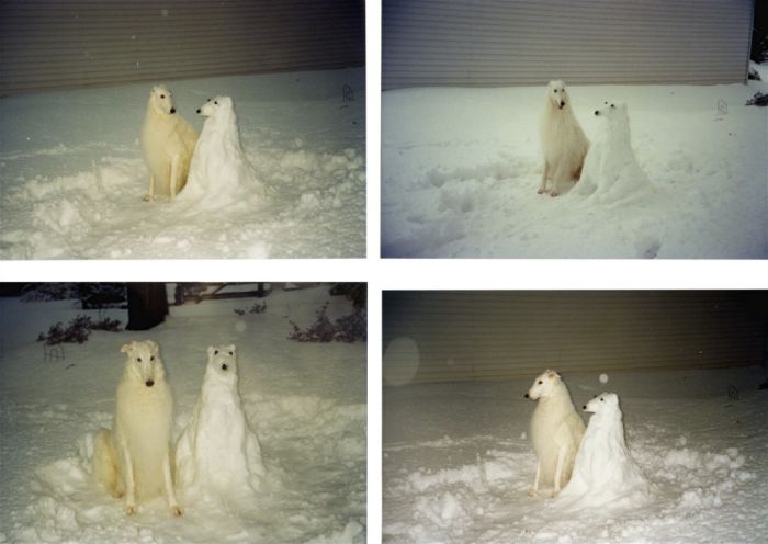 Acid Picdump (93 pics)