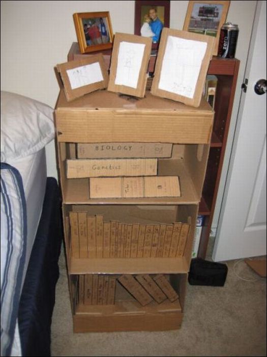 Cardboard Furniture (16 pics)