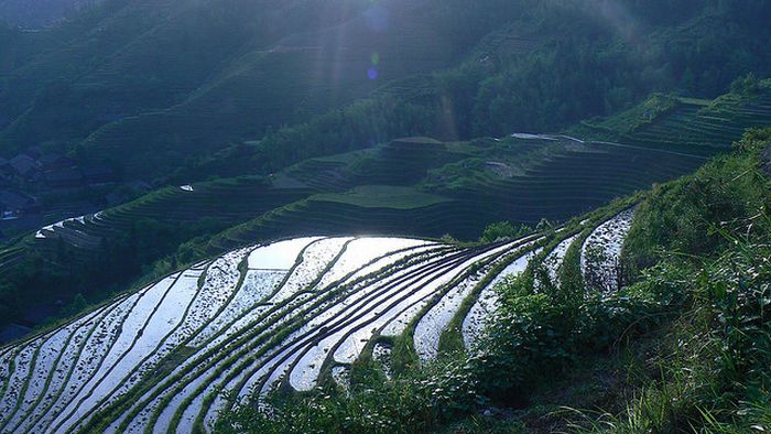 The Amazing Longsheng Rice Terraces (34 pics)
