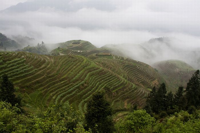 The Amazing Longsheng Rice Terraces (34 pics)