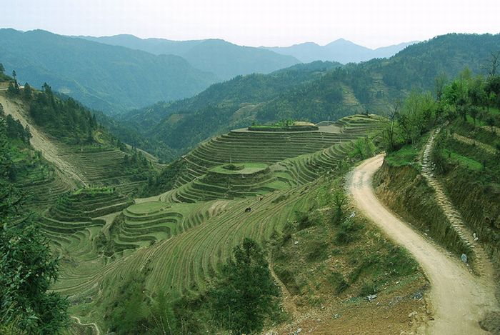 The Amazing Longsheng Rice Terraces (34 pics)