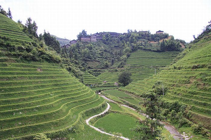 The Amazing Longsheng Rice Terraces (34 pics)