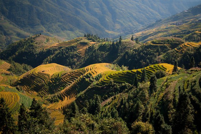 The Amazing Longsheng Rice Terraces (34 pics)