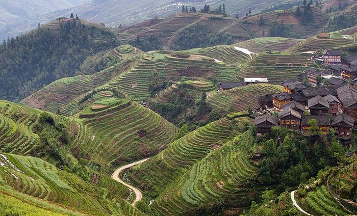 The Amazing Longsheng Rice Terraces (34 pics)