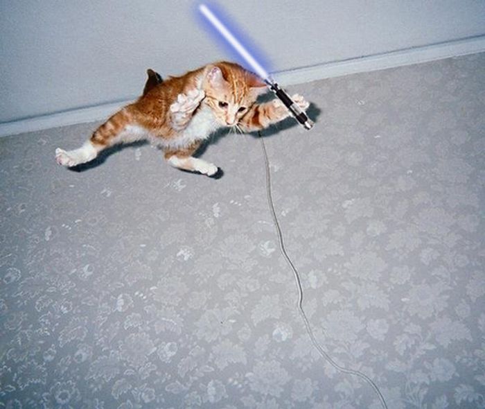 When Animals Go Star Wars On Each Other (14 pics)