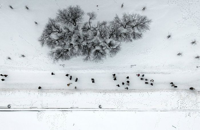 Winter from Above (38 pics)