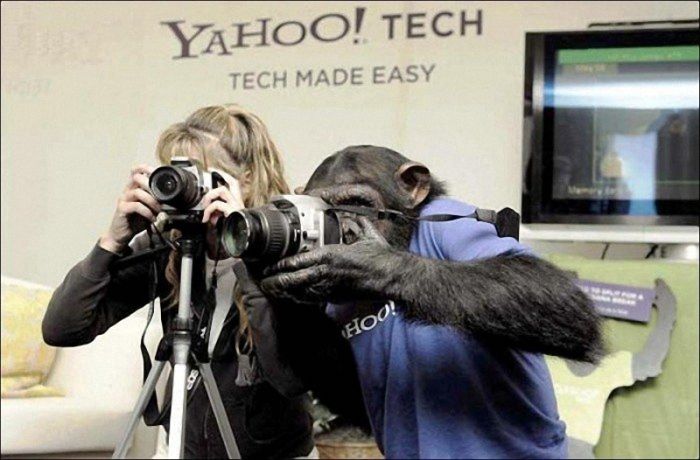 Funny Photographers (28 pics)