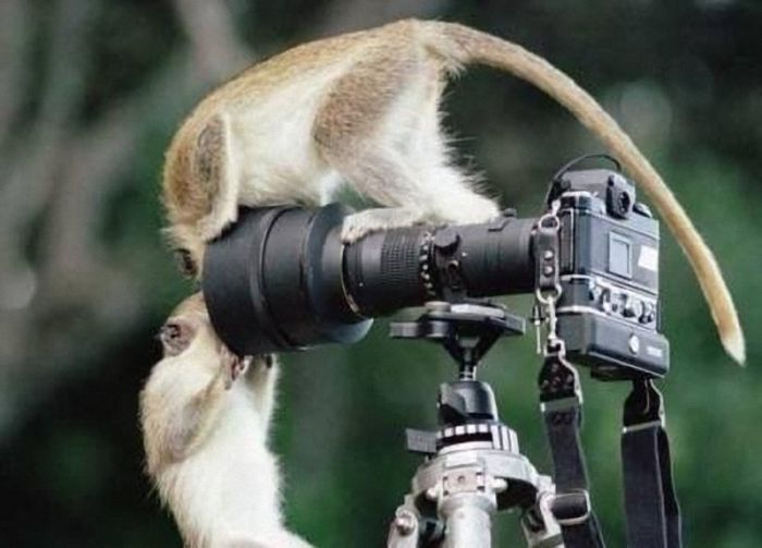 Funny Photographers (28 pics)