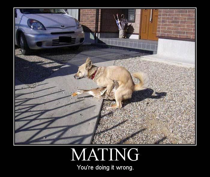 “You’re Doing It Wrong” Demotivational Posters (75 pics)