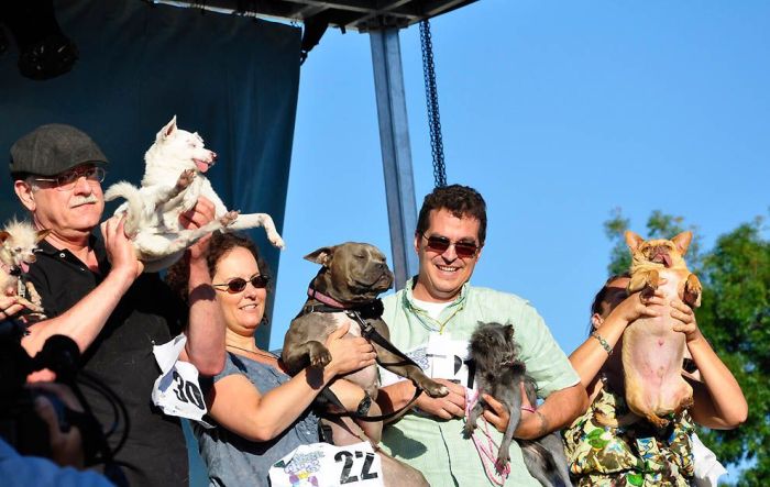 World’s Ugliest Dog 2011 (18 pics)