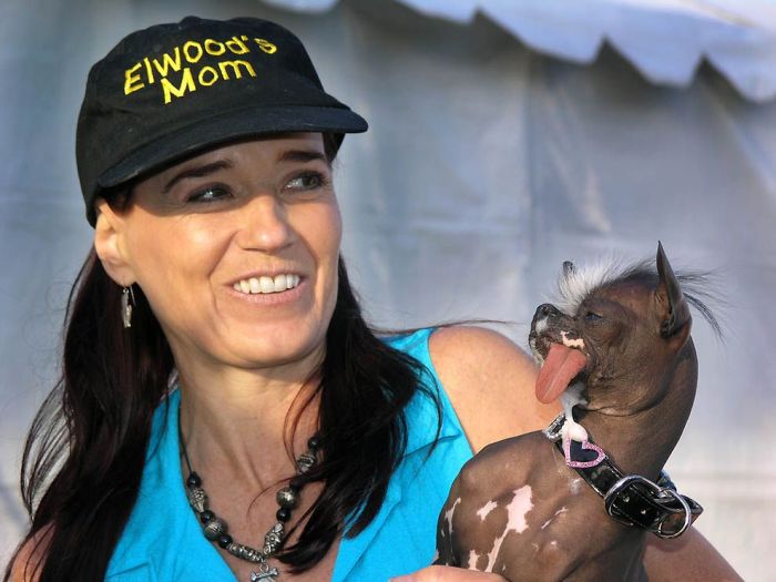 World’s Ugliest Dog 2011 (18 pics)