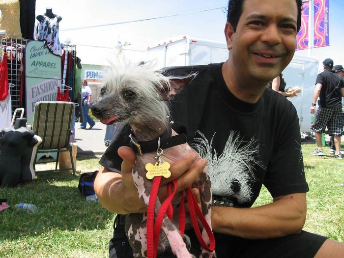 World’s Ugliest Dog 2011 (18 pics)