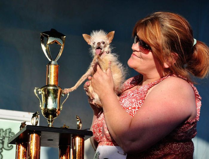World’s Ugliest Dog 2011 (18 pics)