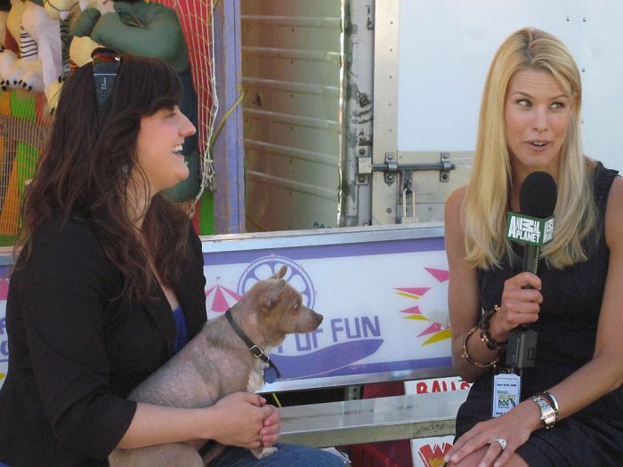 World’s Ugliest Dog 2011 (18 pics)