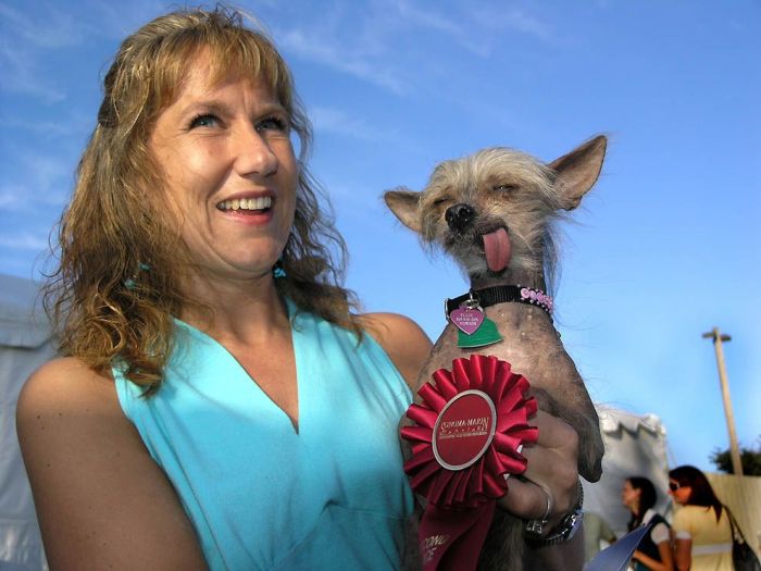 World’s Ugliest Dog 2011 (18 pics)